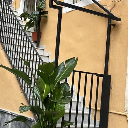 Apartment Don *